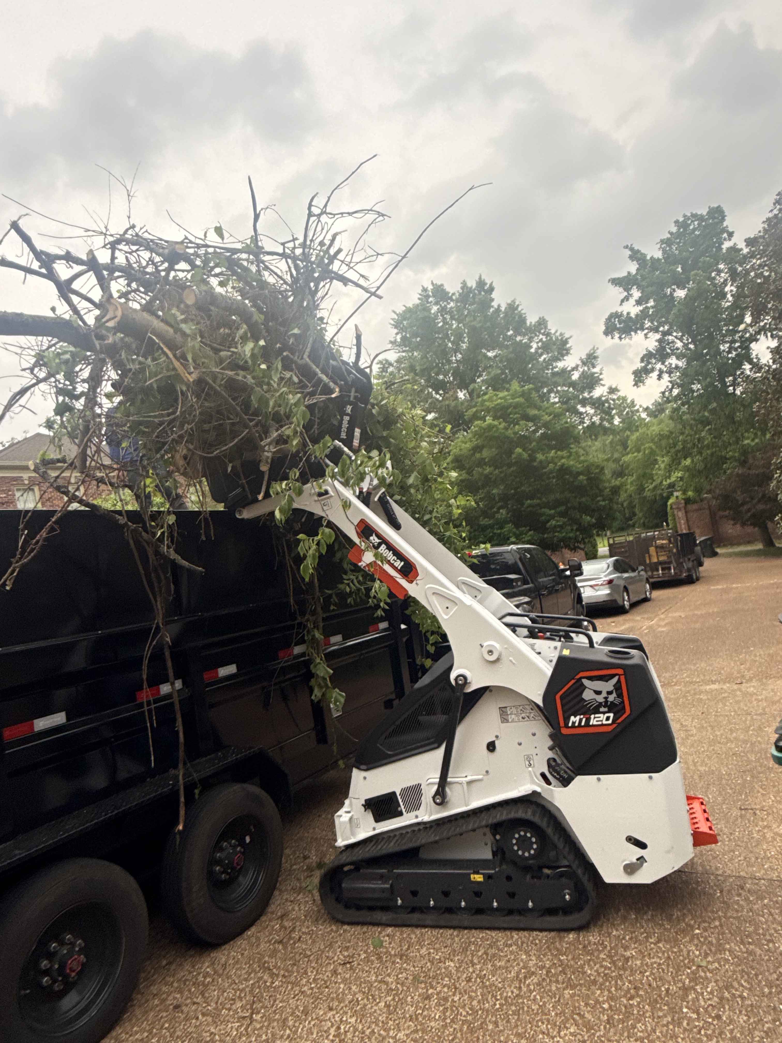 Stump grinding and land clearing service Conroe TX