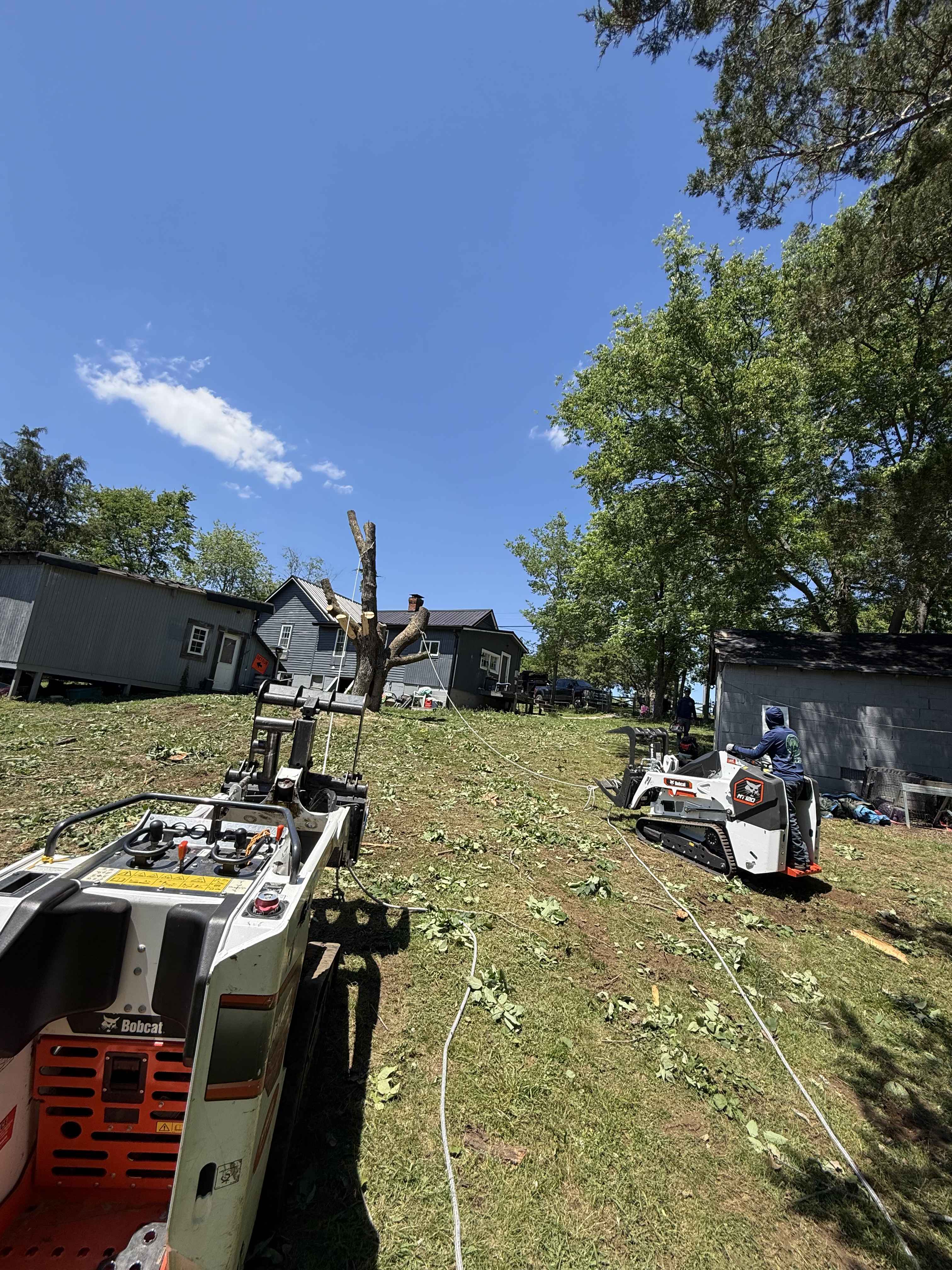 Professional tree service crew in Conroe Texas